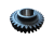 31484 I.png