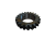 31538 II.png