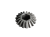 56541 II.png