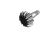 54066 II.png