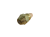 34908 II.png