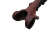 14238 II.png