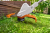 fa110115703 VII.png