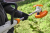 fa110115703 VIII.png