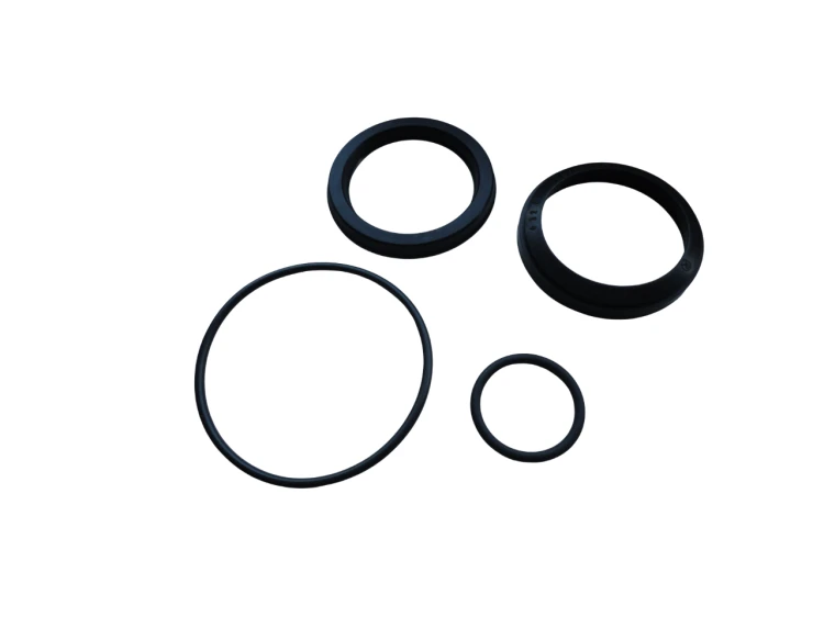 13876.png