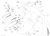 K2561-62250.png