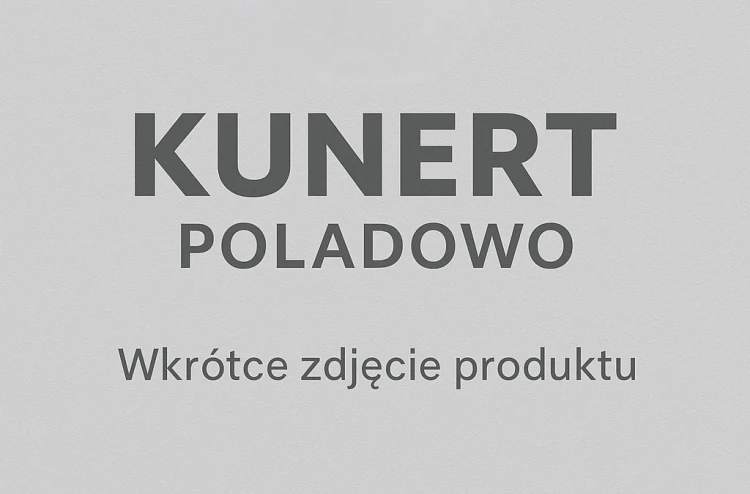 42210010 17.png