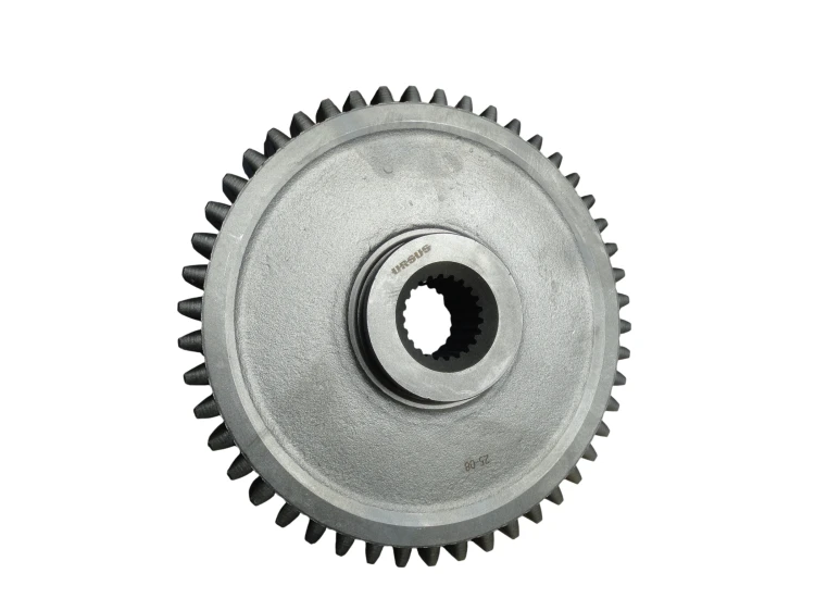 29691 I.jpg