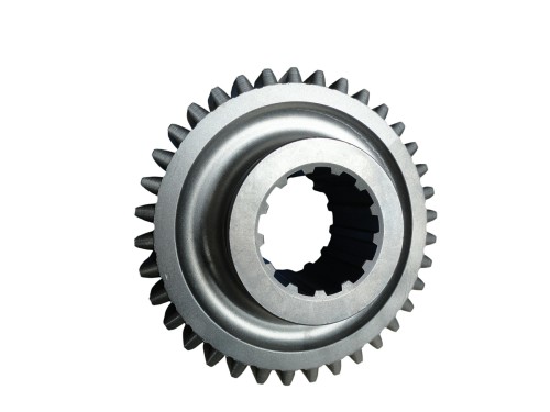 31002 II.jpg