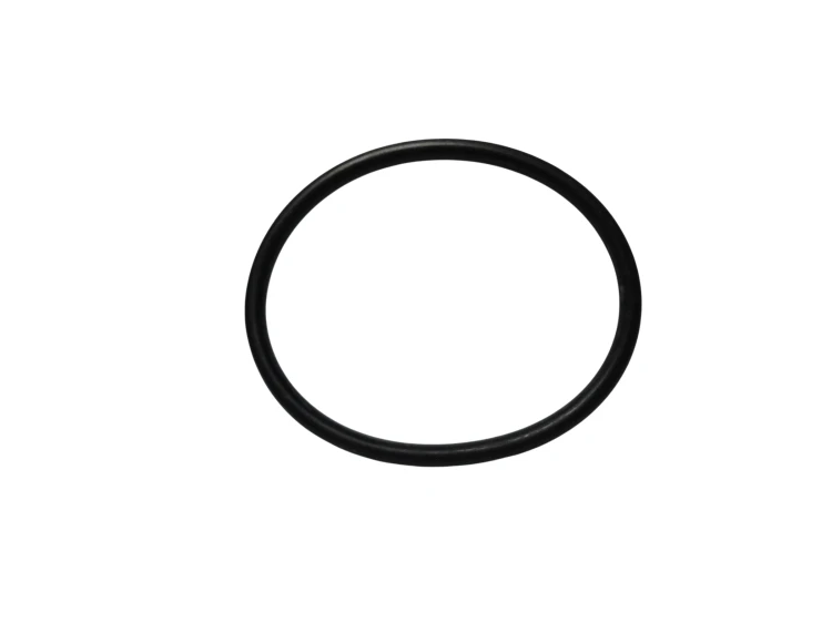 45509.png