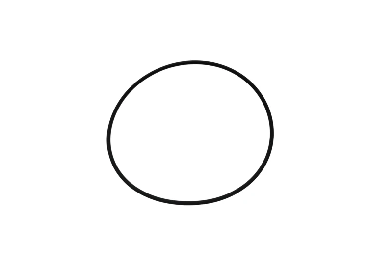 21204.png