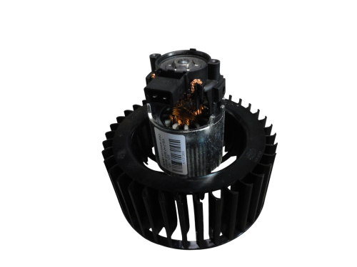 55243 II.png