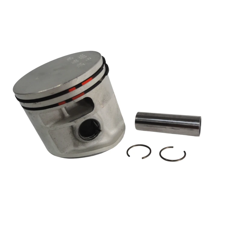46219.png