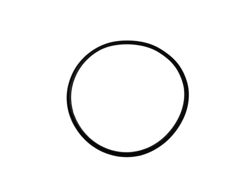 53356.png