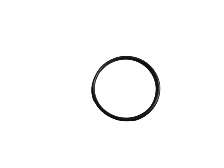 00415492.png