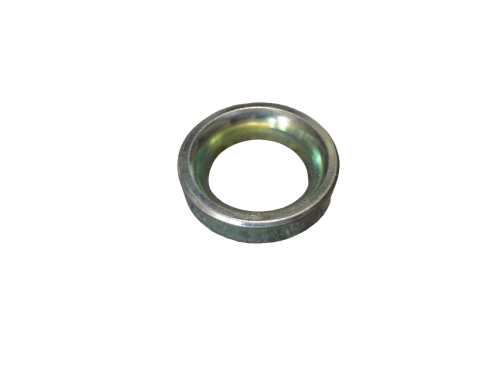 Z4545870_1.png